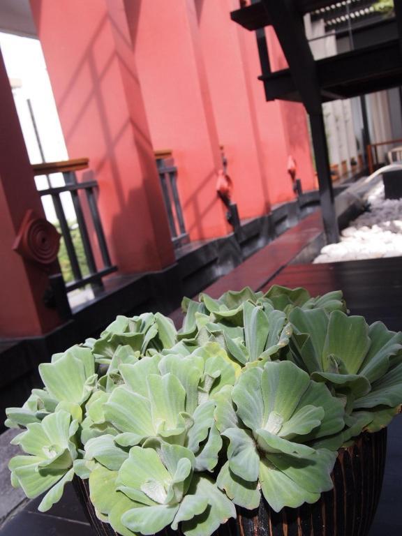 Loogchoob Homestay Bangkok Zewnętrze zdjęcie